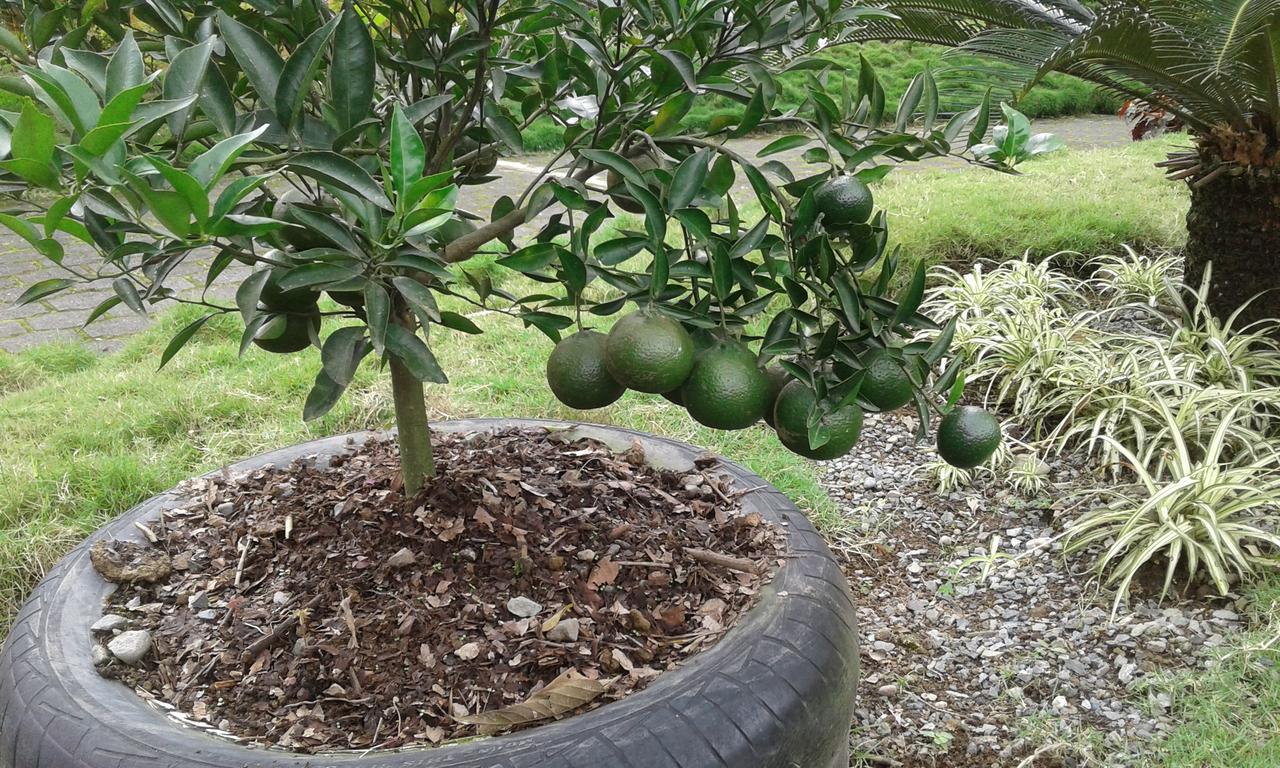 Estancia La Colina Santo Domingo de los Colorados Bagian luar foto
